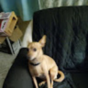 Meet your Posher, Joann